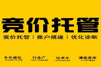 竞价排名与自然排名的对比案例
